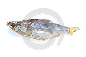 Dry vobla fish
