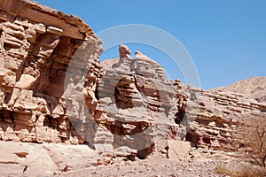 Dry wadi in Arava desert.