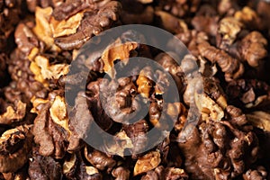 Dry walnut. Closeup of big shelled walnuts pile. Nuts background