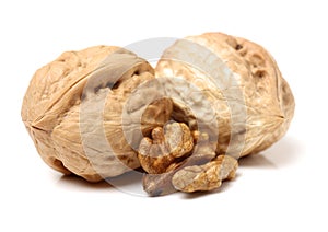 Dry walnut fruit studio isolated