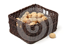 Dry walnut fruit studio isolated