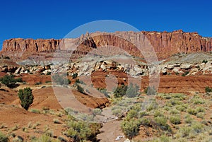 Dry wash and fantastic rocks, Utah