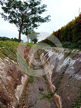 dry waterways in the dry season and there are plants on the right and left