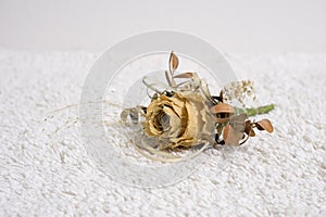 Dry wedding rose on the table. Slovakia