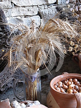 Dry wheat and small onions