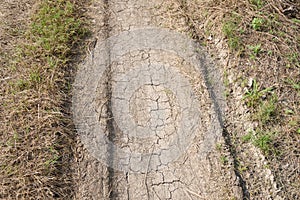 Dry wheel track on dirt soil texture