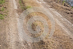 Dry wheel track on dirt soil texture