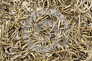 Dry white tea leaves as a background. Chinese Bai Hao Yin Zhen
