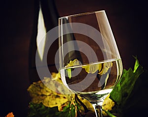 Dry white wine in glass, still life in rustic style, vintage woo