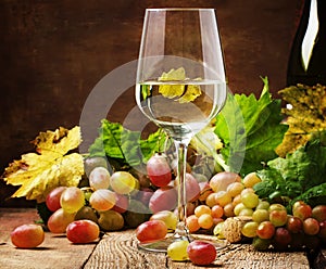 Dry white wine in glass, still life in rustic style, vintage woo