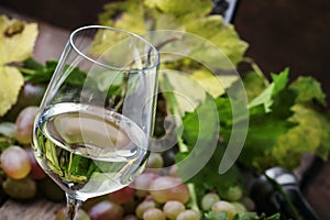 Dry white wine and grapes, vintage wooden background, selective