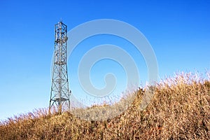 Dry Winter Grass and Comunication Tower Against Blue Sky photo