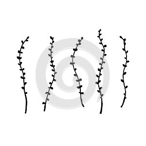 Dry winter twigs. Black and white sketch. Hand drawn vector