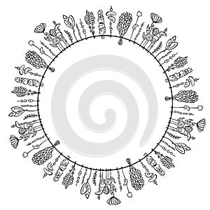 Dry witch herbs boho circle ornament. Vector isolated illlustration