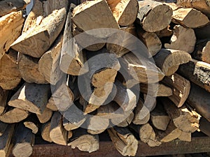 Dry wood stacked in piles.