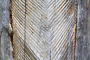 Dry wood texture