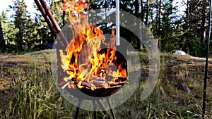 Dry wooden logs are in fire in the middle of jungle in a barbque container during the swedish summer