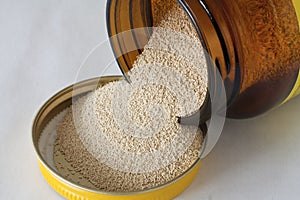 Dry yeast