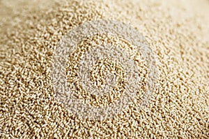 Dry Yeast