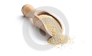 Dry yeast in scoop