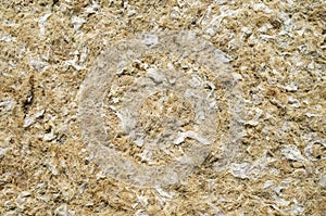 Dry yellow algae and seaweed