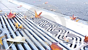 Dry yellow autumn fallen maple leaves, metal grate on ground of american street.