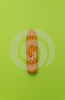 Dry yellow ear of corn, cereal vegetables, isolate on green background close-up.