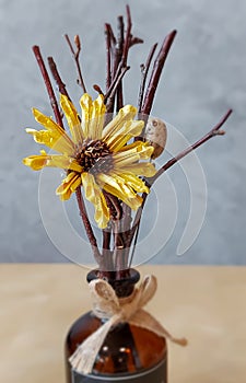 Dry yellow flower and little sticks in glass bottle vase