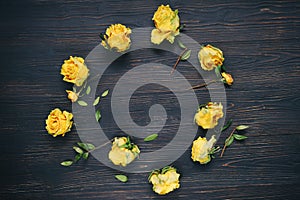 Dry yellow rose buds on a dark wooden background, copy space for text