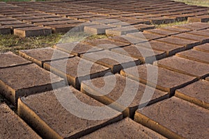 Drying adobe bricks