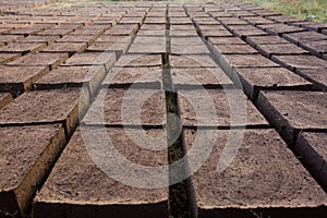 Drying adobe bricks