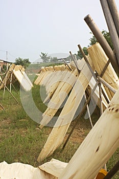 Drying Barks for Traditional Paper Making