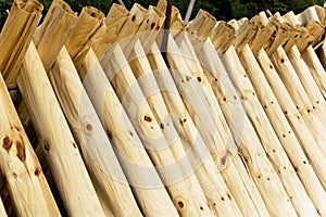 Drying Barks for Traditional Paper Making