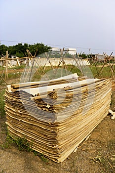 Drying Barks for Traditional Paper Making