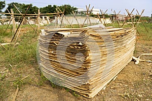 Drying Barks for Traditional Paper Making photo