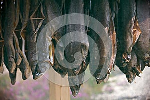 Drying box for drying fish.