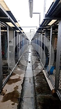 Drying cages after rain