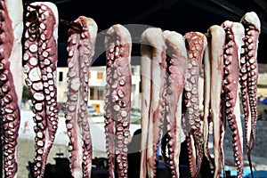 Drying calamari