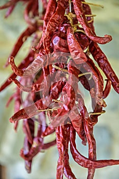 Drying chillies in an Agriturismo in Basilicata, Italy