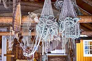 Drying Cod Fish in Spring Time in Sakrisoy Fishing Village, Lofoten islands, Norway