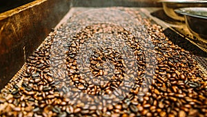 Drying coffee beans