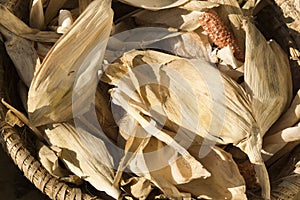 Drying corn