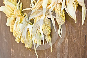 Drying corn cobs