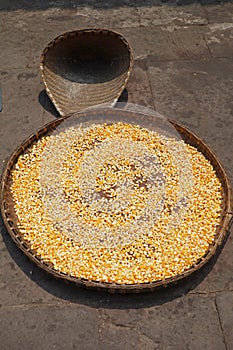 Drying corn kernel