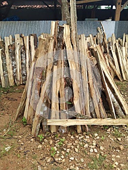 drying firewood in the yard