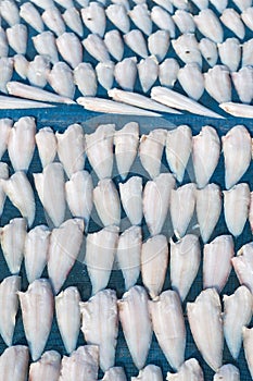 Drying fish, Fishbone