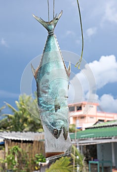 Drying fish with sunlight