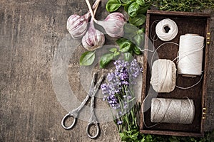 Drying fresh garden herbs