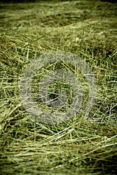 Drying hay