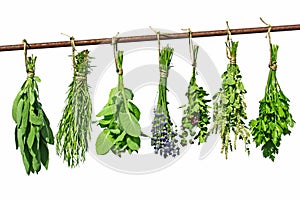 Drying herbs